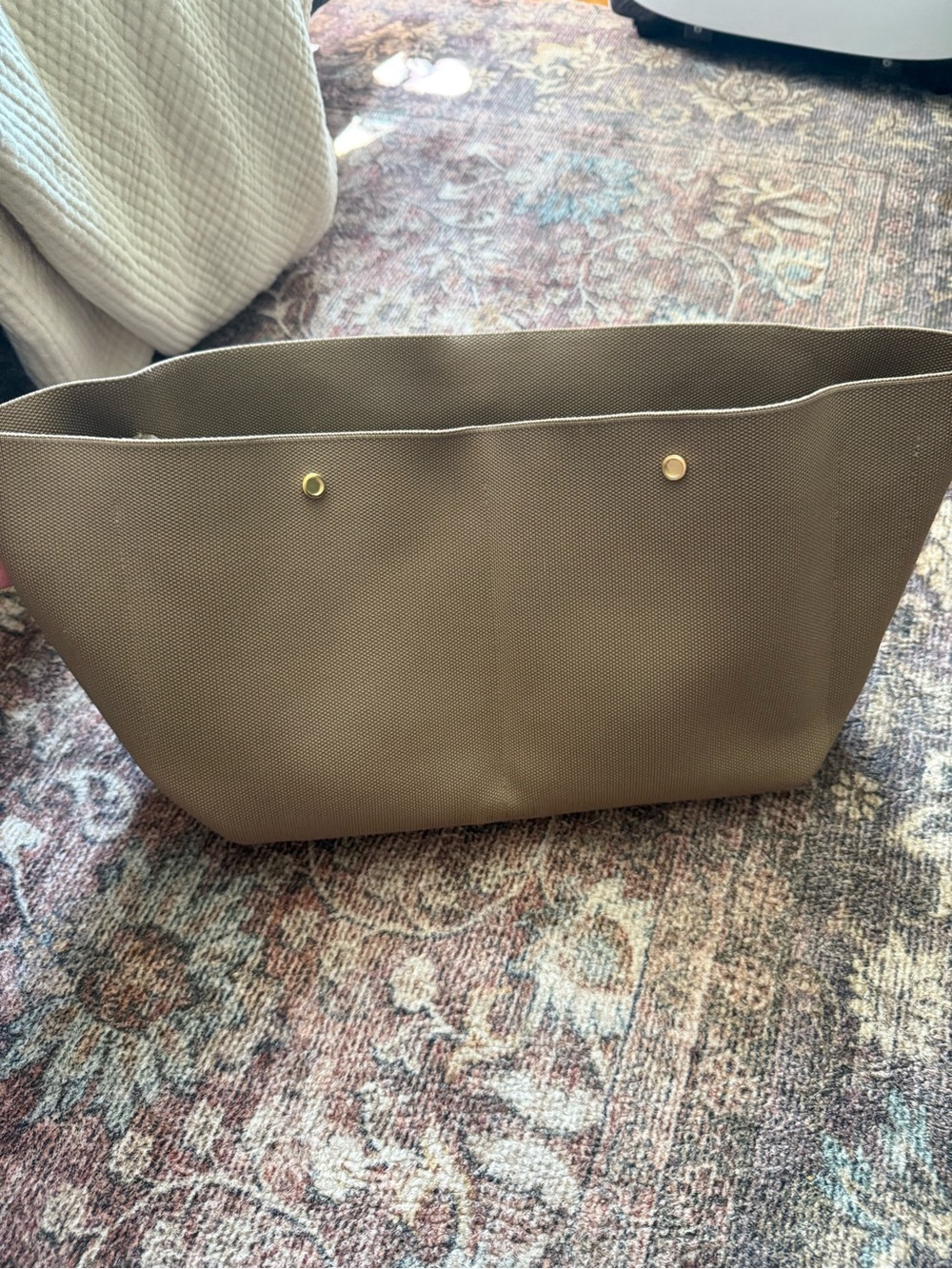 Cuyana Canvas Tote in Taupe
